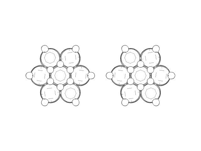 Snowflake Earrings